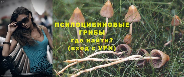 СК Абинск