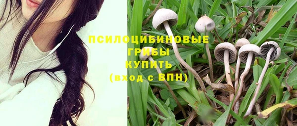 СК Абинск