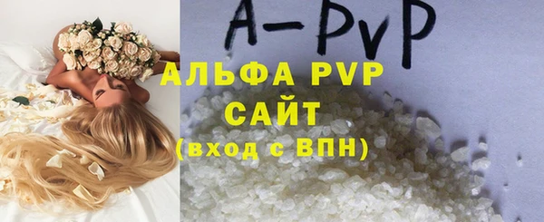 СК Абинск